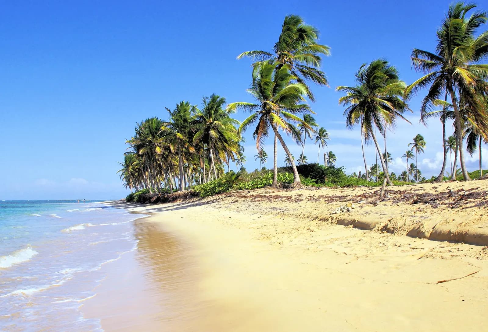 Playa de Punta Cana con palmeras y mar turquesa