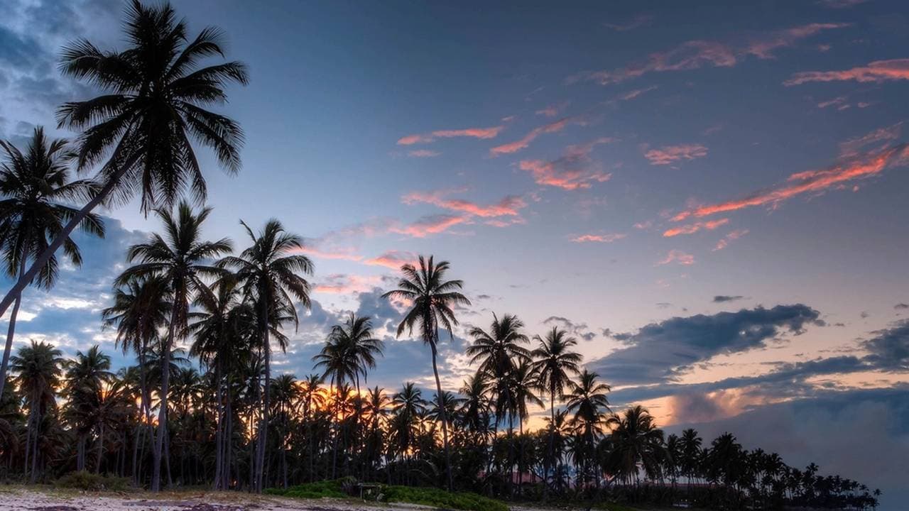 ¿Cuánto cuesta viajar a Punta Cana desde Colombia? Presupuesto 2026