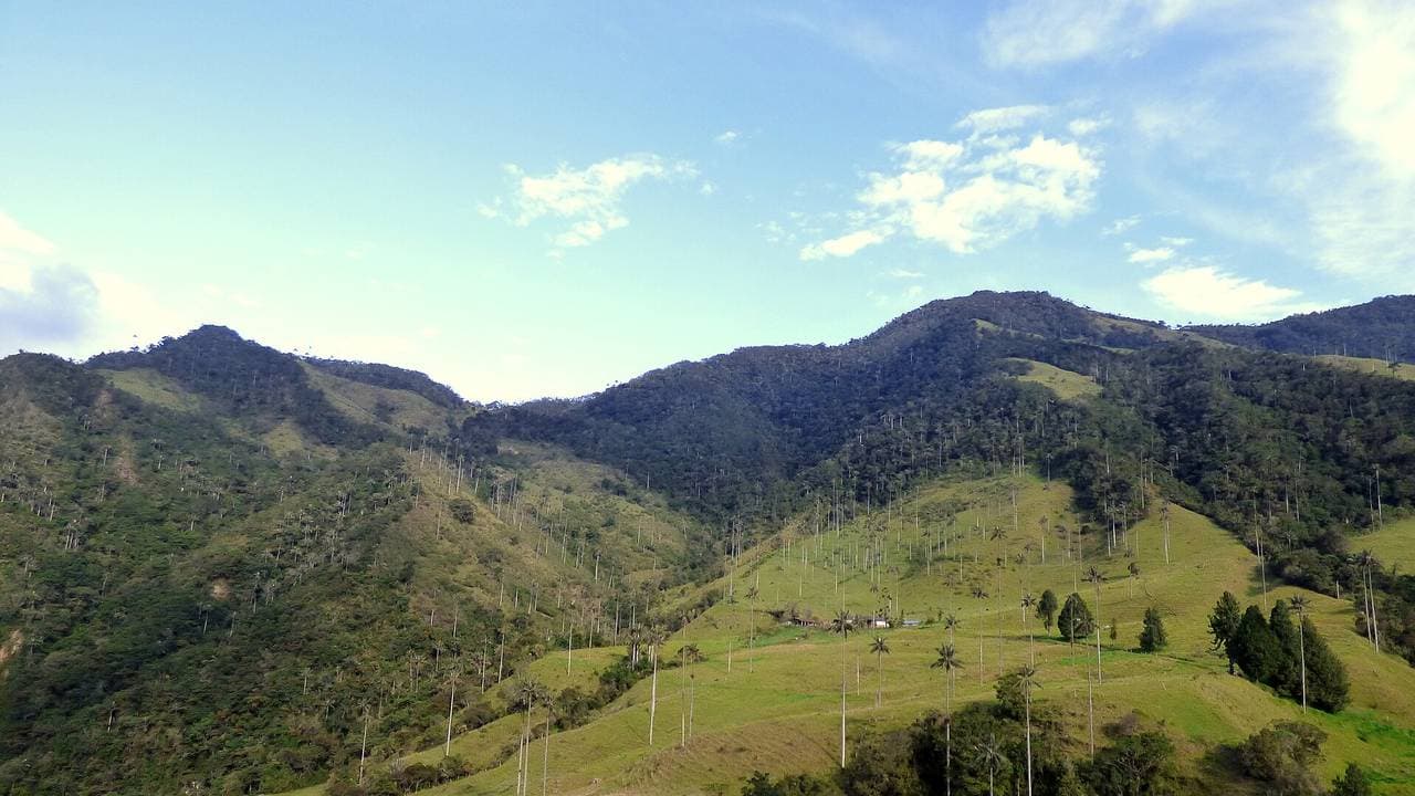 Eje Cafetero: guía de viaje (Salento, Valle de Cocora y más)