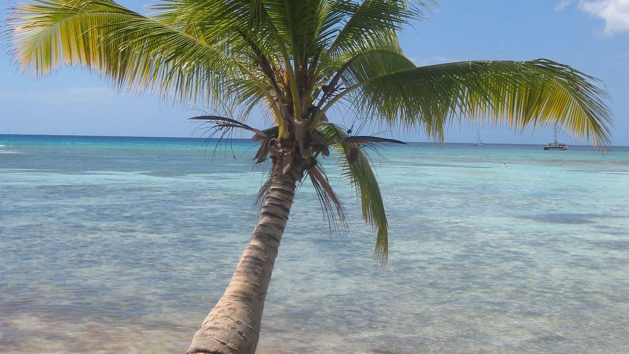Isla Saona desde Punta Cana: ¿vale la pena? precio y tips