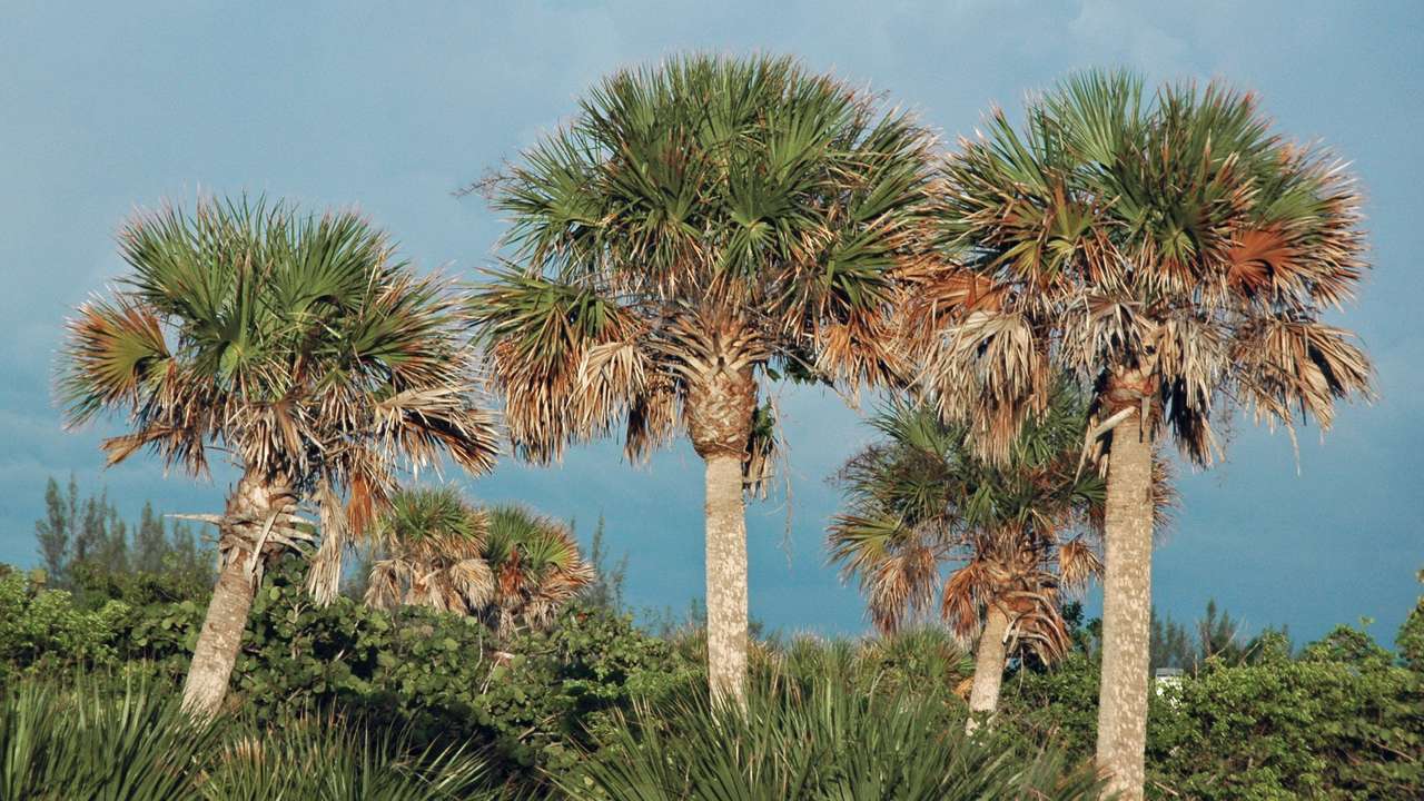 Mejor época para viajar a Punta Cana (y evitar huracanes)