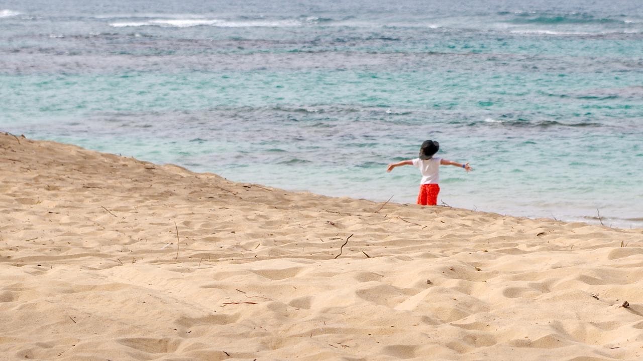 Punta Cana todo incluido desde Colombia: guía completa 2026
