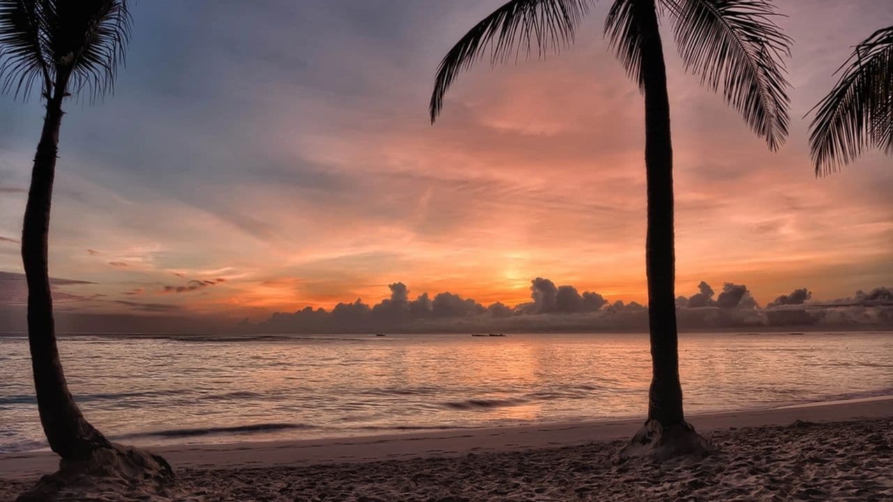 Qué hacer en Punta Cana: mejores actividades y excursiones